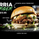 Birria Burger