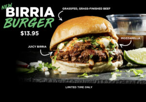 Birria Burger