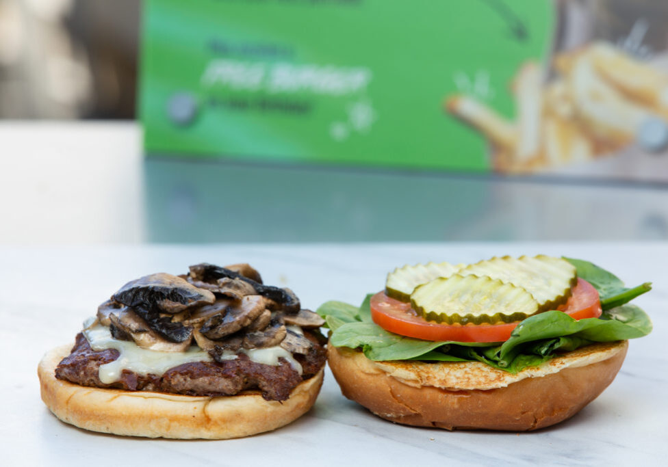 Grass fed Beef Burger on White Flat Halal Beef